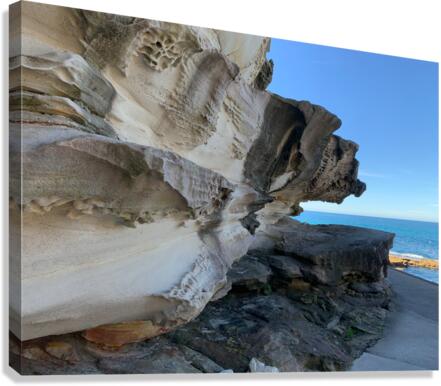 Beautiful Rock Canvas Print