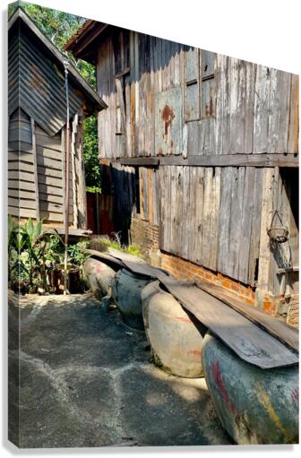 Behind the House Canvas Print