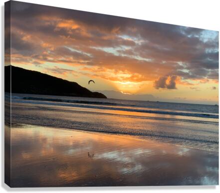 Amazing Sunset with Bird Canvas Print
