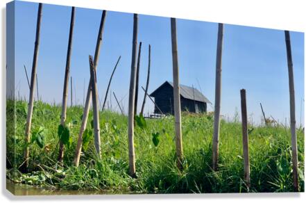 House behind the Bamboos Canvas Print