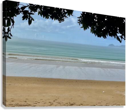 Nice Beach Canvas Print