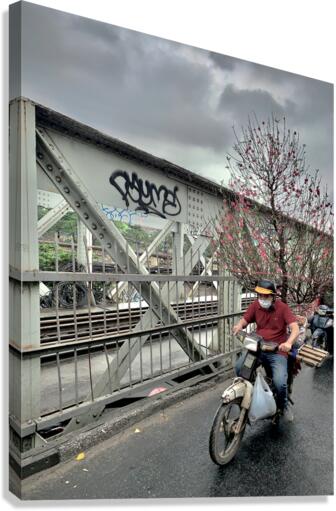 Tree on a Motorbike Canvas Print