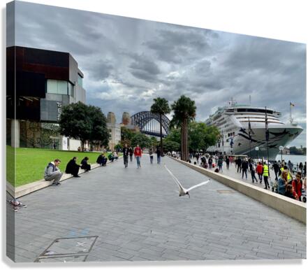 Fly for the Cruise Canvas Print