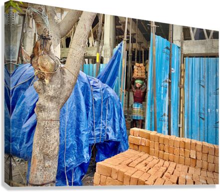 Bricks on the Head Canvas Print