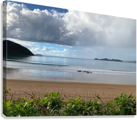 Half Nice Half Rain 3 Canvas Print