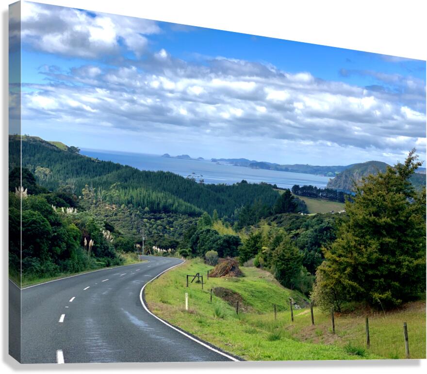 Road to the Bay Canvas Print