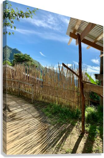 Sun Through the Bamboo Fence Canvas Print