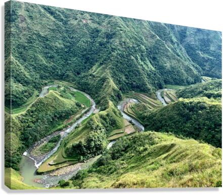 S-Shaped River Rice Valley Canvas Print