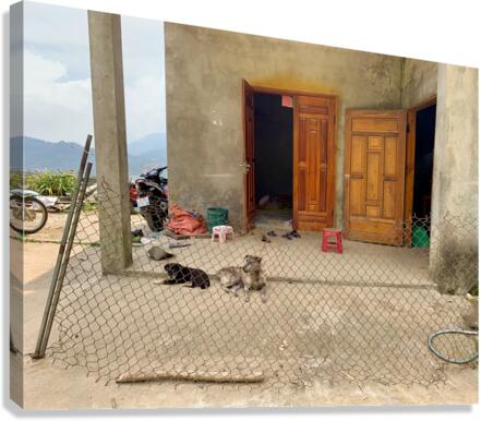 Behind the Crooked Fence Canvas Print