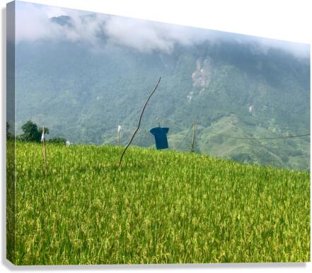 Asian Scarecrow Canvas Print
