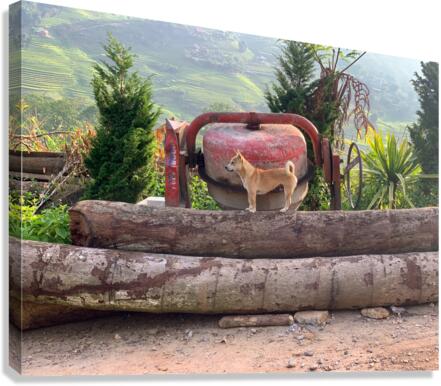 Dog Standing on Wood Canvas Print