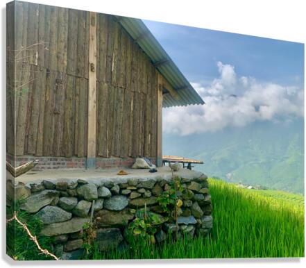 House in the Rice Fields Canvas Print