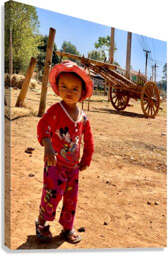 Little Girl on the Farm Canvas Print
