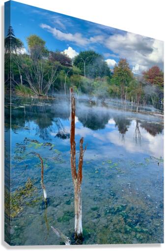 Mysterious Reflection Canvas Print