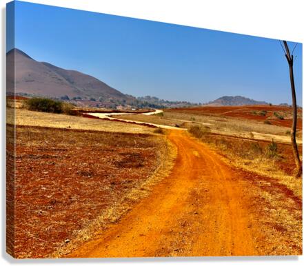 Red Earth Road Canvas Print