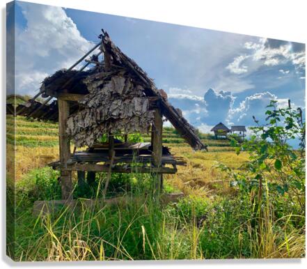 Shacks in the Rice Fields Canvas Print