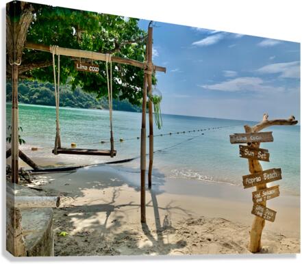Swing on the Beach Canvas Print