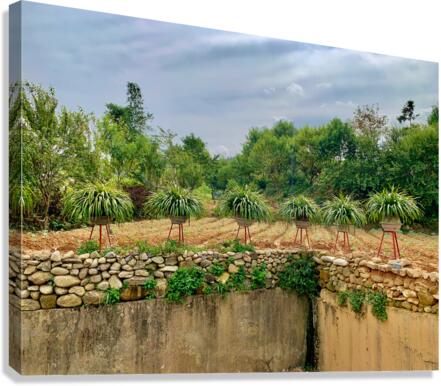 Plant Pots on a Stand Canvas Print