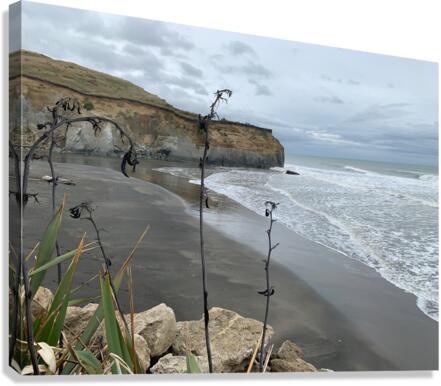 Black Sand on the Coast 2 Canvas Print