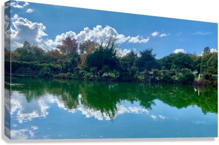 Nature s Own Reflection Canvas Print