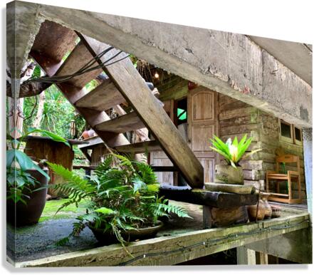 Zen House Canvas Print