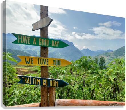 Which Way To Go Canvas Print