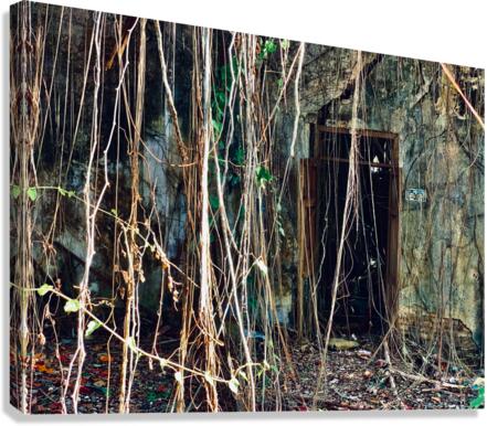 Find the Entrance Canvas Print