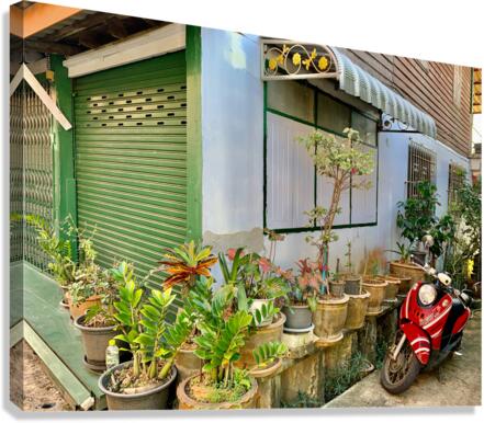 Plants on the Corner Canvas Print