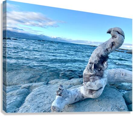 Bird Shaped Wood in Front of the Ocean Canvas Print