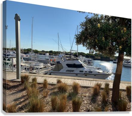 Boats at the Marina Canvas Print