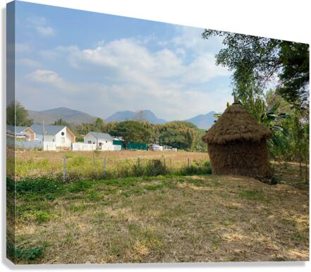 Last Straw Hut Standing Canvas Print