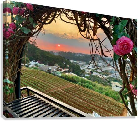 Ring of Roses for Sunset Canvas Print