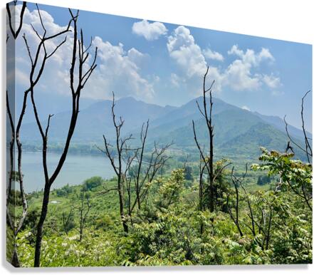 Mountains Behind the Branches Canvas Print