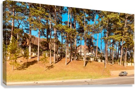 You Forgot Your Car Canvas Print