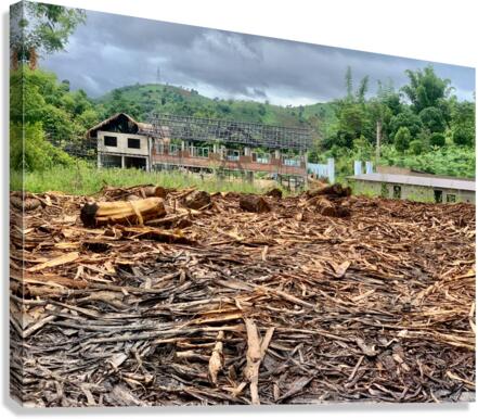 Fading Wood Canvas Print