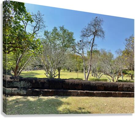 Half Wall Protection Canvas Print