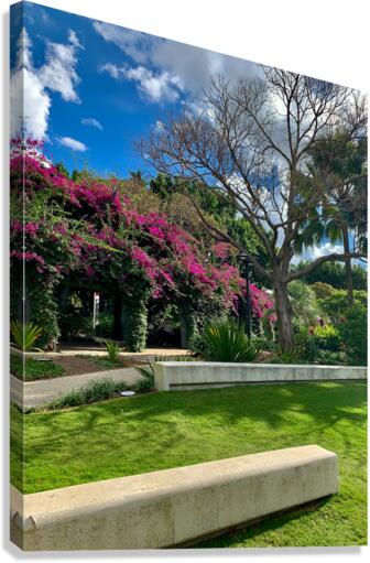 At the Park in Brisbane Canvas Print