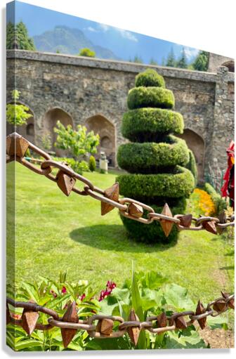 Spiral Tree Canvas Print