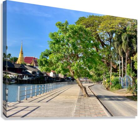 Tree Way Separation Canvas Print