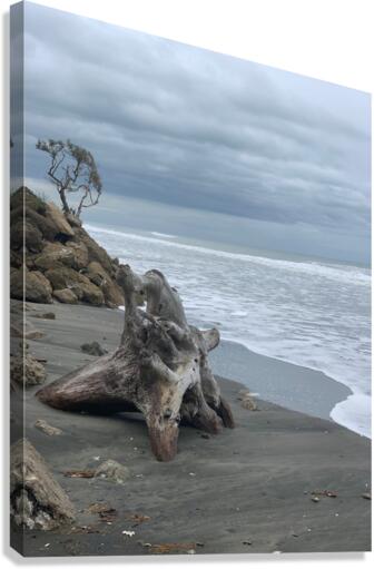 Dark Beach Canvas Print