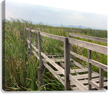 At Your Own Risks Canvas Print