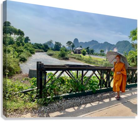 Monk Taking a Walk Canvas Print
