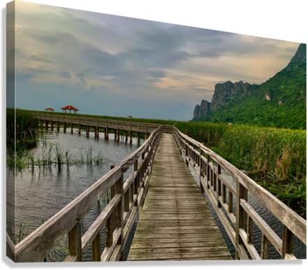 Wooden Walkway 2 Canvas Print