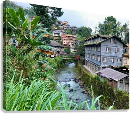Blue House by the River 2 Canvas Print