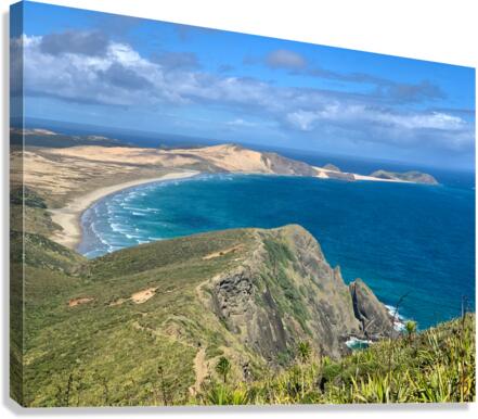 Cape Reinga New Zealand Canvas Print