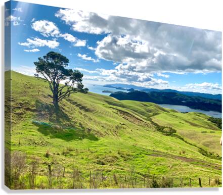 Beautiful Scenery  Canvas Print
