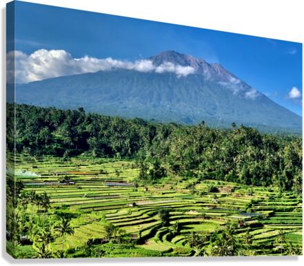 Mount Agung with Rice Fields Bali Canvas Print