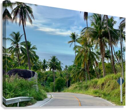 Palm Tree Road Canvas Print