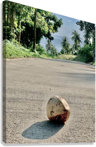 Coconut Shadow Canvas Print