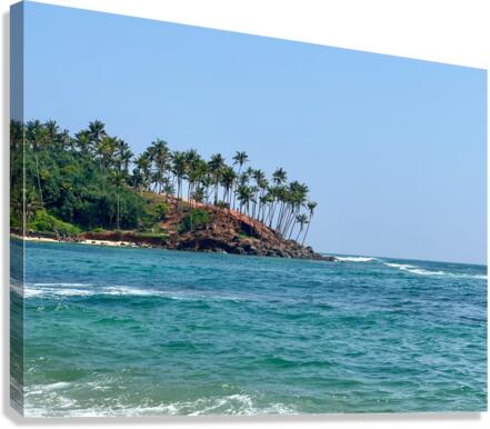 Coconut Hill Ahead Canvas Print